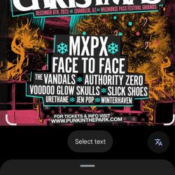 Punk Rock Christmas Vip 1 Ticket Only