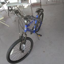 Mountain bike blue