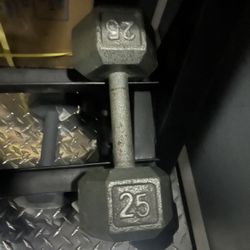 25.lbs X 1 Dumbbell 