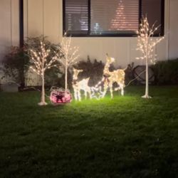 Outdoor Christmas Decorations 