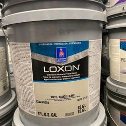 Loxon Paint & Primer 