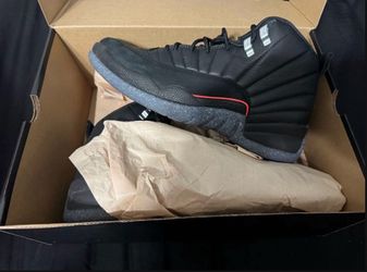 Air Jordan 12