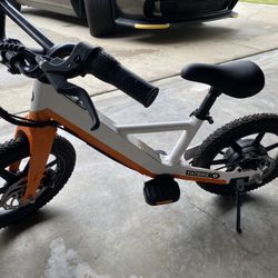 Fat Bike E Bike