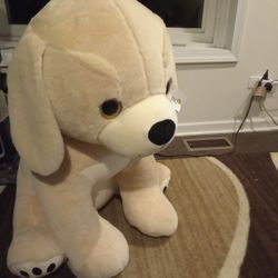 Stuffed Animal 