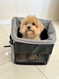 Pet Travel Backpack Carrier