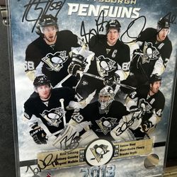 Multi Signed Penguins Photo