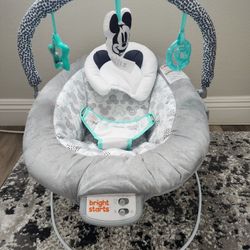Baby Bouncer