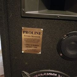 Proline Stereo Monitor 500 Watts Each Speaker.