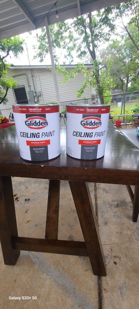 Paint For Ceiling 