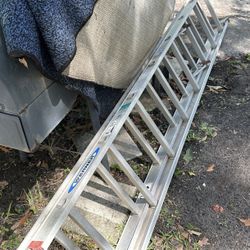 Werner Ladder 16 Ft 