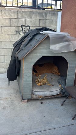 Dog house