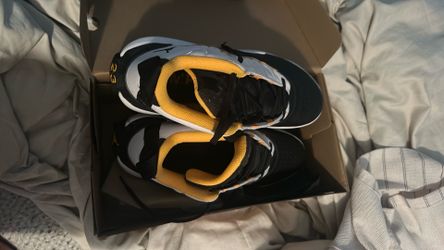 Jordan retro 12s