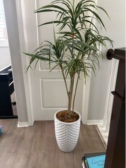 Faux Plant