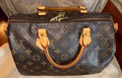 Louis Vuitton Bandolier Handbag