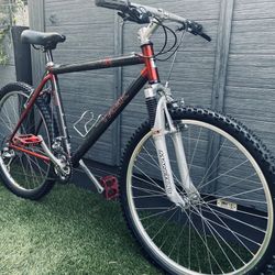 Vintage Trek ZX 8700 Carbon Series Hardtail