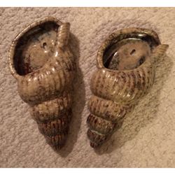 Vintage Ceramic Seashell Wall Hanging Art/Dry Flowers-Excellent Condition Each 5 X 11”