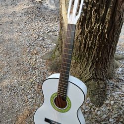 Brand New Acoustic Guitar 