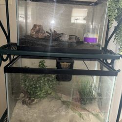 Fish Tanks
