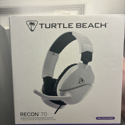 Turtle beach