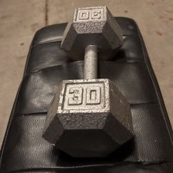1 30 Pound Dumbbell