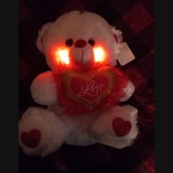 Mother's Day  Teddy Bear Led Light Gift.For  $20