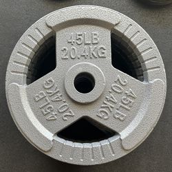 Gym Weights Olympic Standard Weights