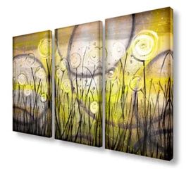 Canvas Paintings, Cuadros, 3 Pieces Modern Frames