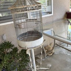 Old Bird Cage