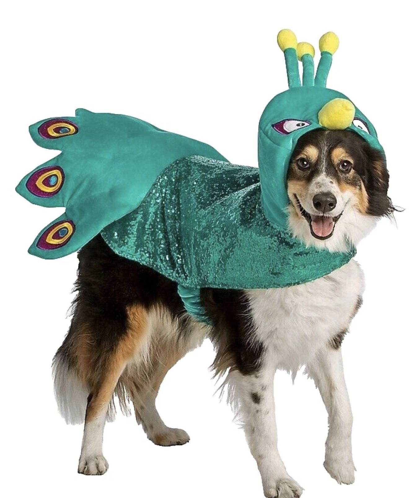 Thrills & Chills Halloween Cosplay Peacock Dog Costume Size Large L Sequins