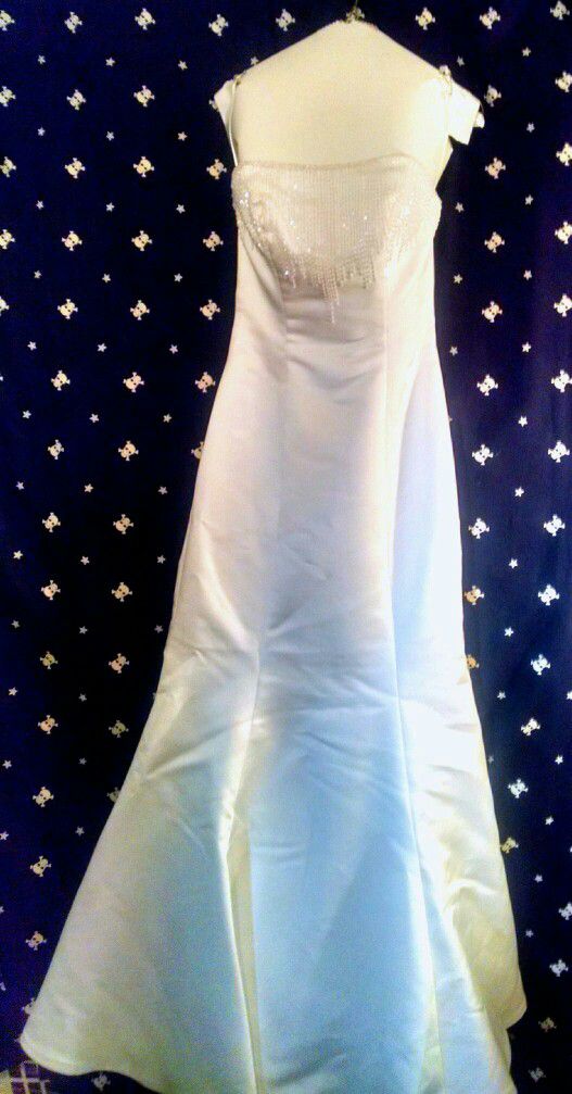 Christian Michelle Size 2 Mermaid Style Wedding Gown