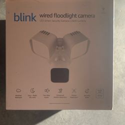 Blink Wired Floodlight Camera 