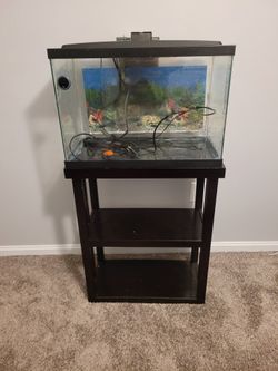 Fish Tank + Stand 