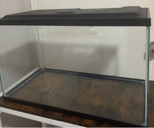 10 gal fish tank