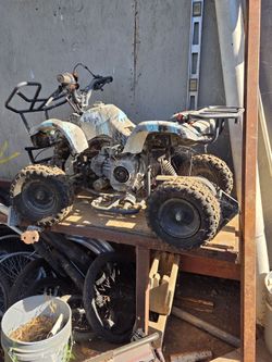 80cc kids quad