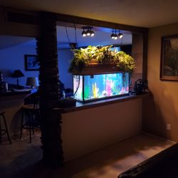 55 gal aquarium