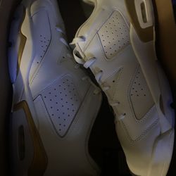 Jordan Retro 6 Low