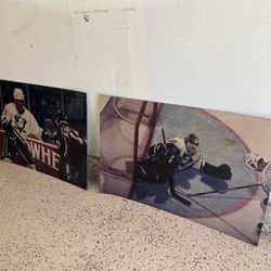 Anaheim Ducks Poster