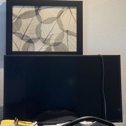 44” Vizio Smart TV w/remote