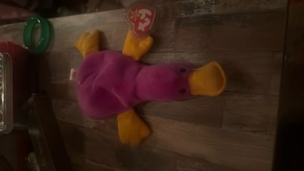 Platypus TY Baby