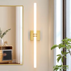 Vanity light or sconce