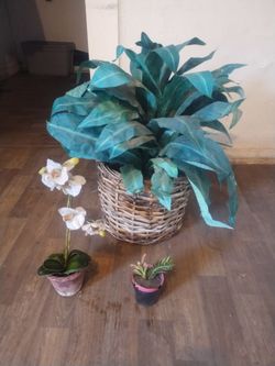 Fake plants