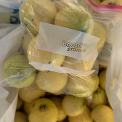 Guayabas , Guavas , Tree , Fruta , Fruit