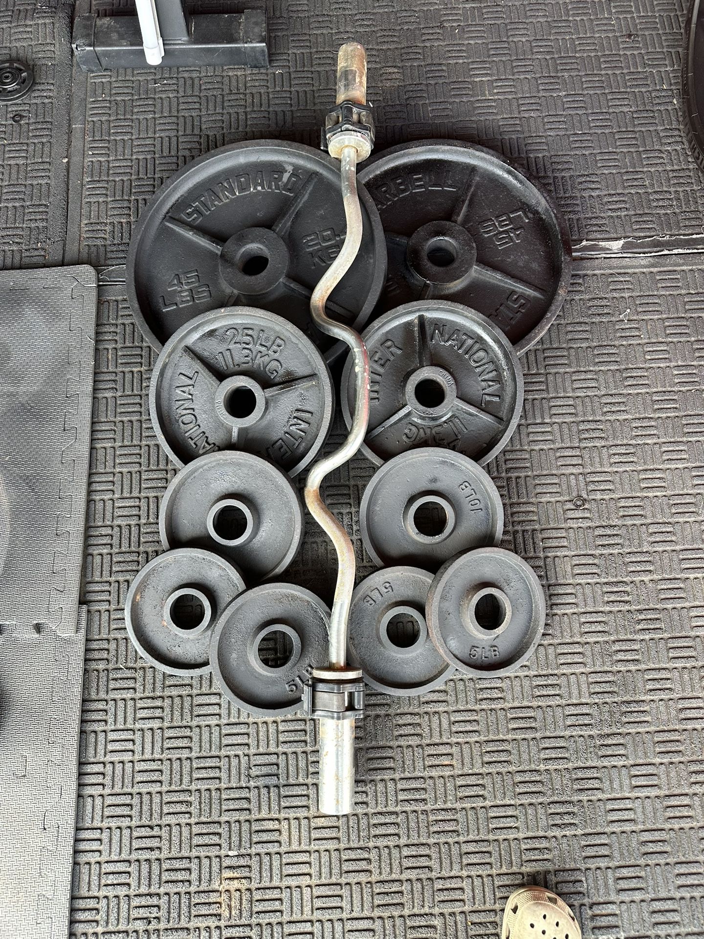 Olympic curl bar with 180lbs of Olympic weights