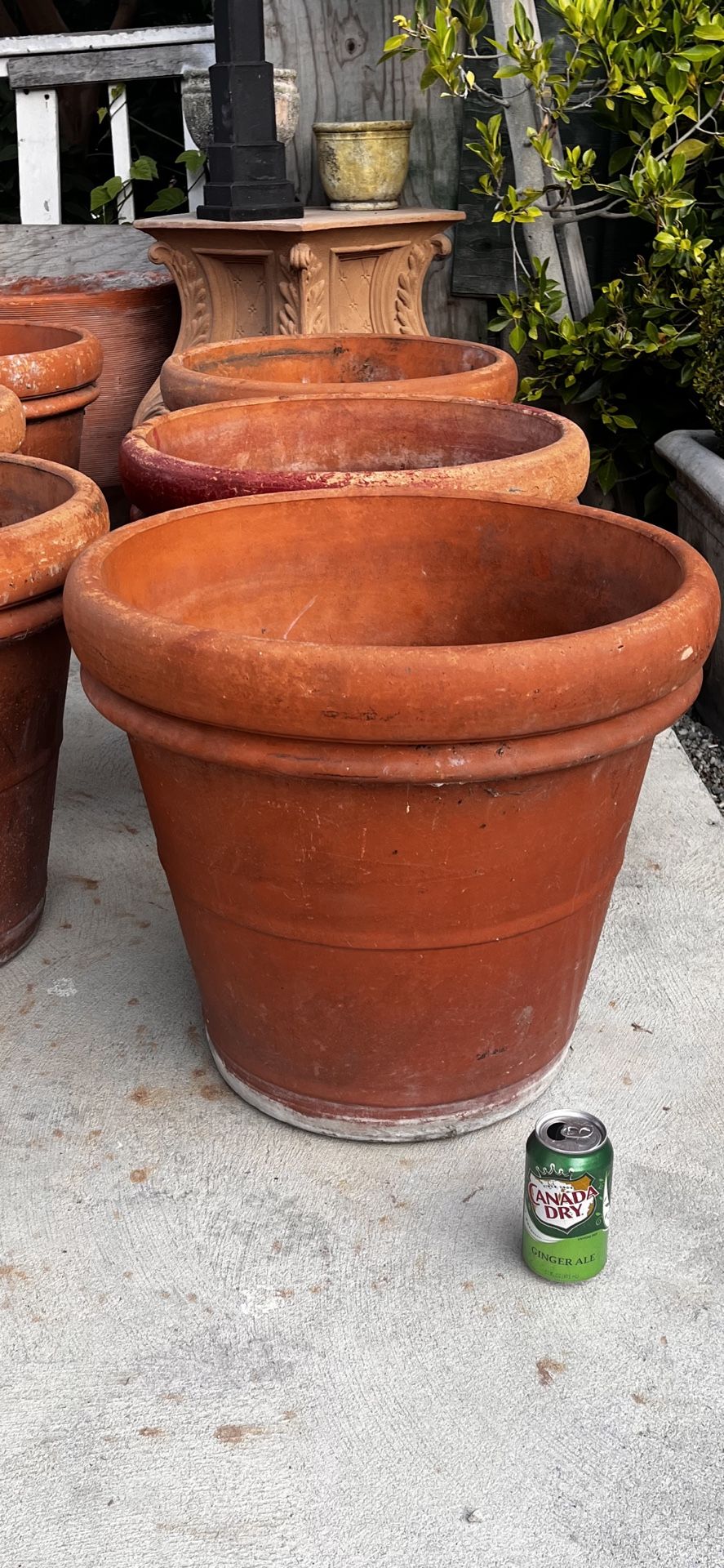Huge Oversized Commercial Italian Terracotta Planters
