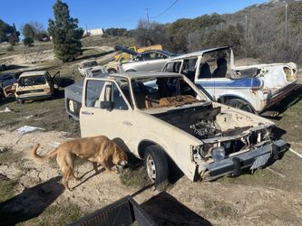 Free Vw