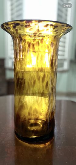 Tortoises Shell Glass Vase