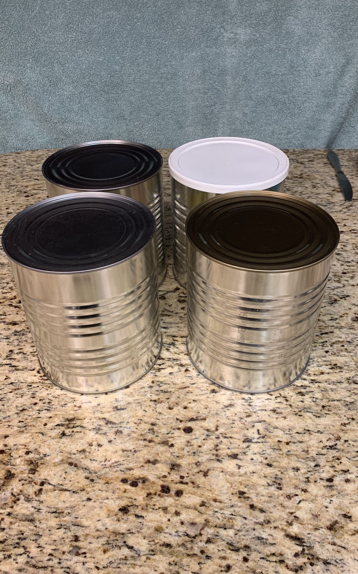 Emergency Food: Powdered Beef, Chicken Broth