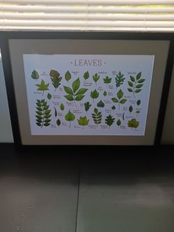 Wall Art Leaves