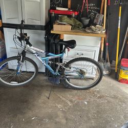 NEXT Mountain Bike