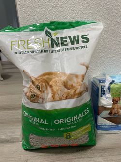 Paper cat litter